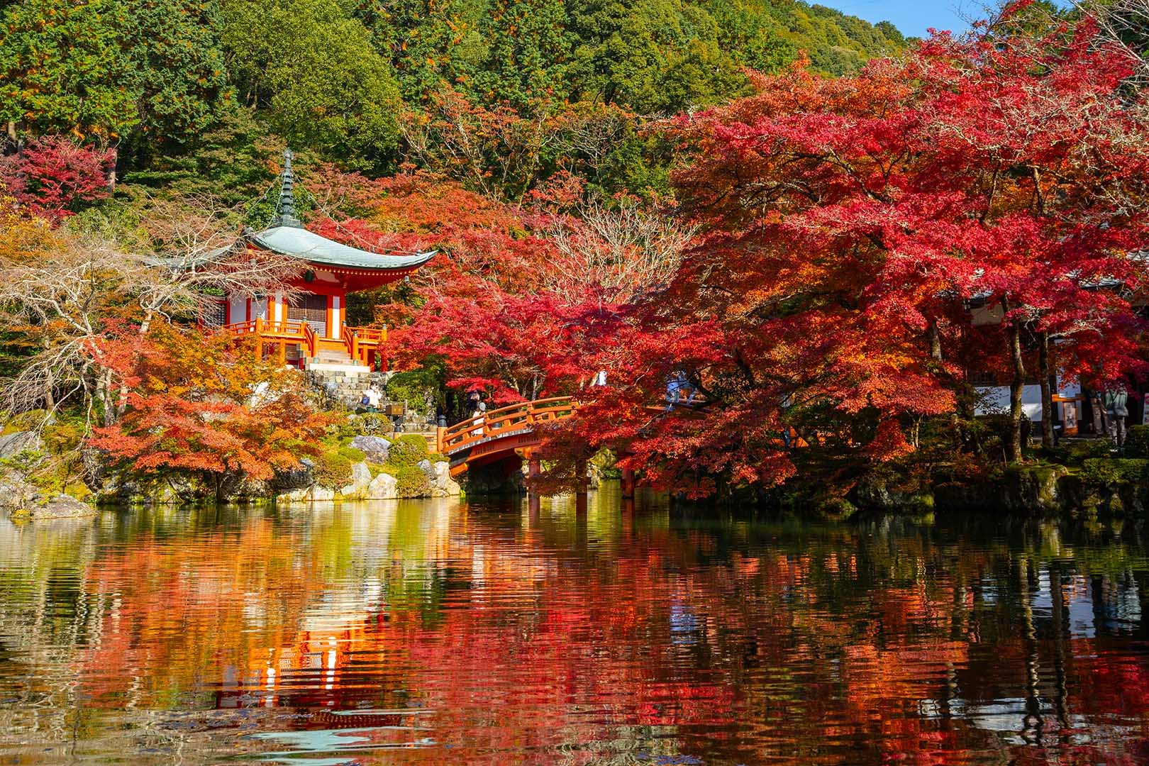 醍醐寺_a0003166_18032958.jpg