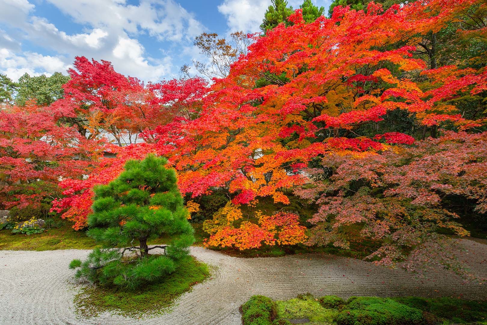 南禅寺 天授庵 その１_a0003166_18085343.jpg
