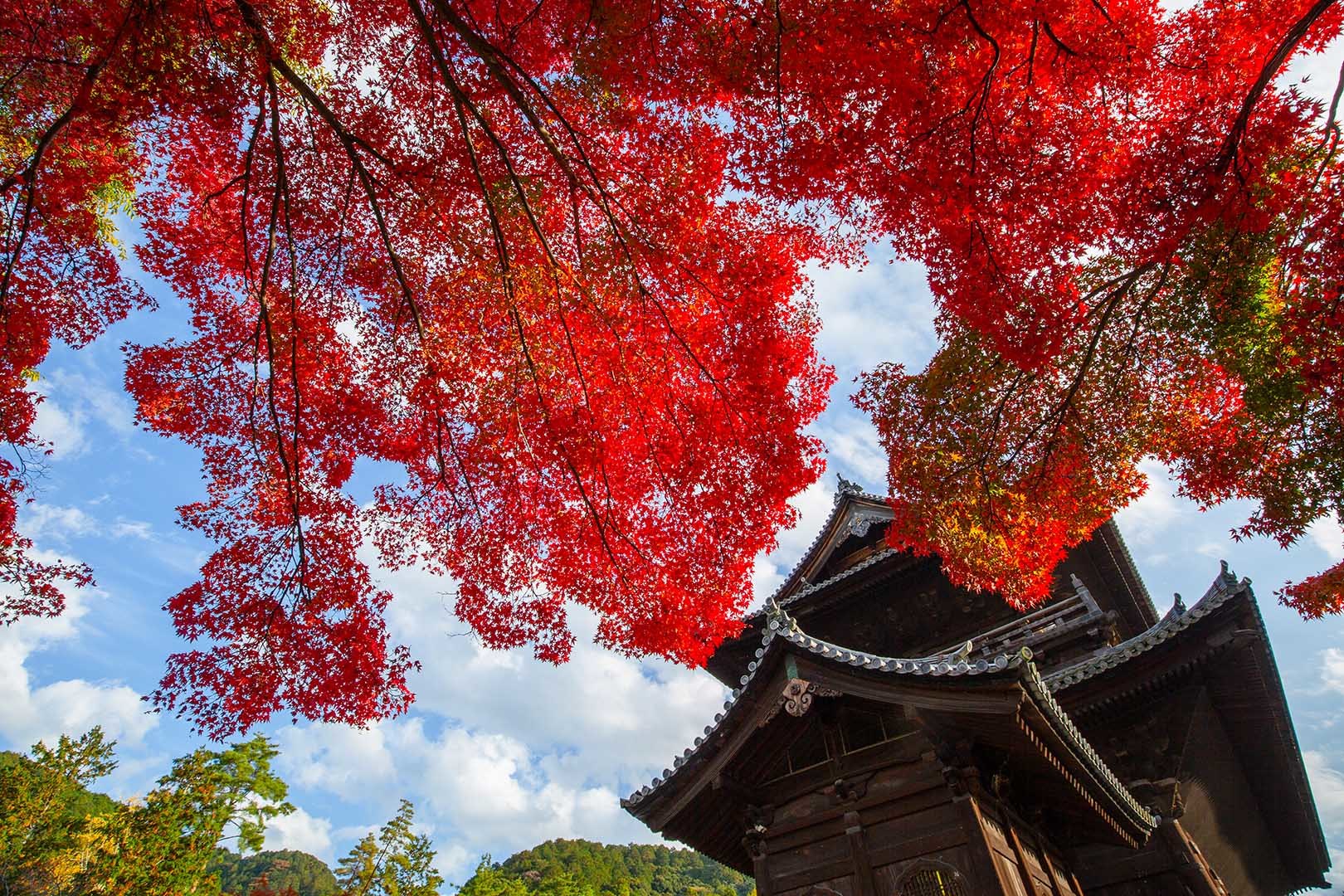 南禅寺 天授庵 その２_a0003166_18130817.jpg