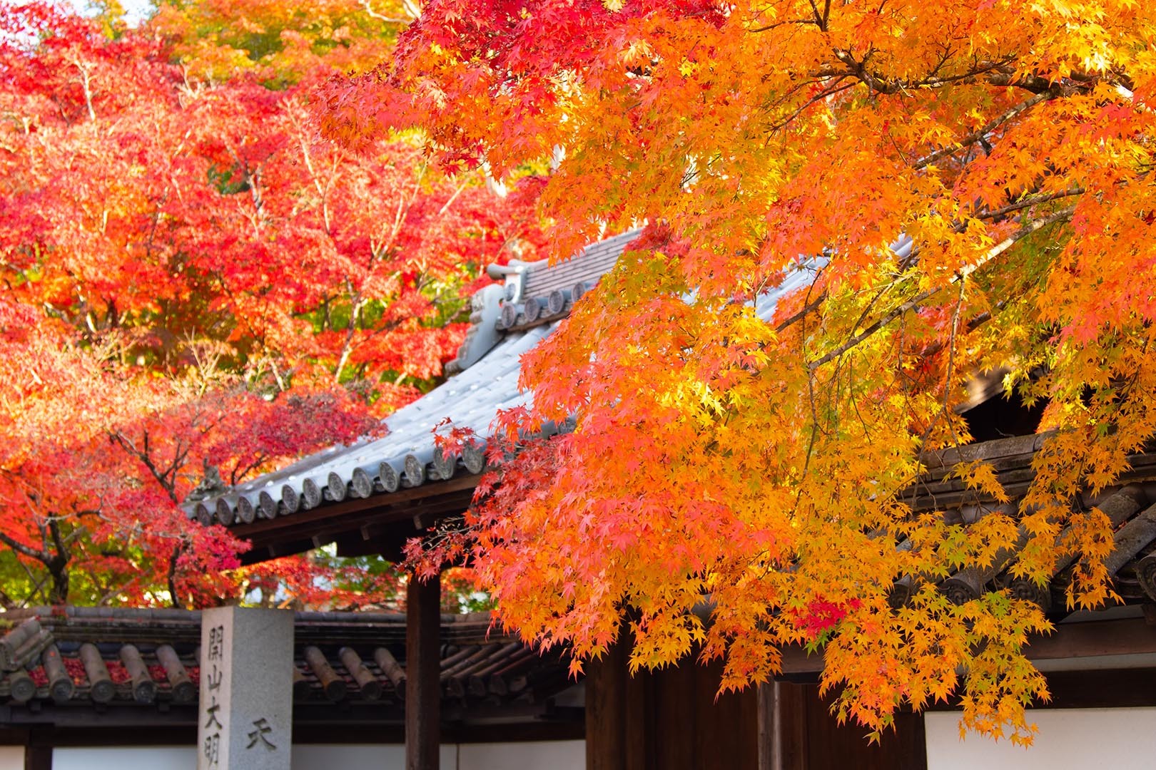 南禅寺 天授庵 その２_a0003166_18130836.jpg