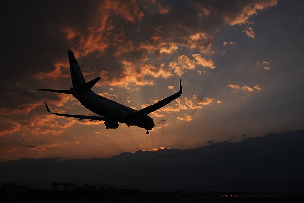 飛行機_a0003166_181426.jpg