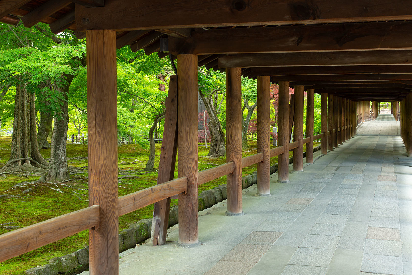 東福寺_a0003166_18252815.jpg