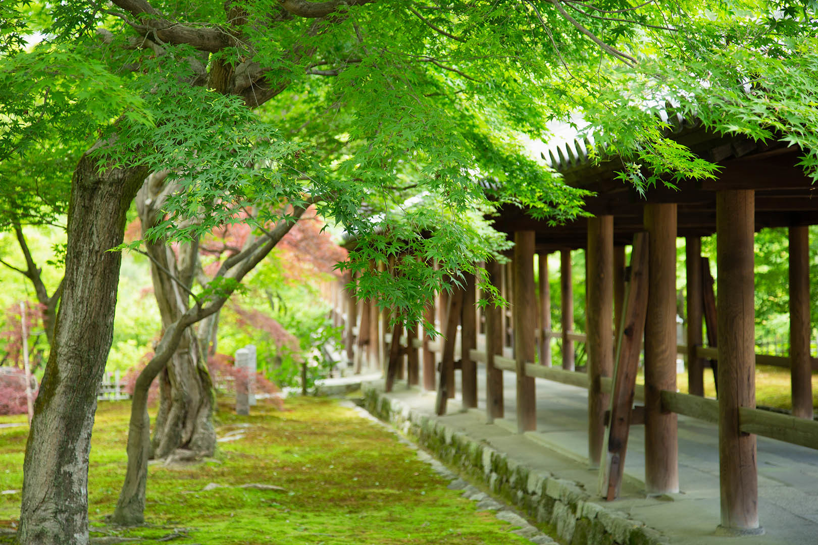 東福寺_a0003166_18253113.jpg
