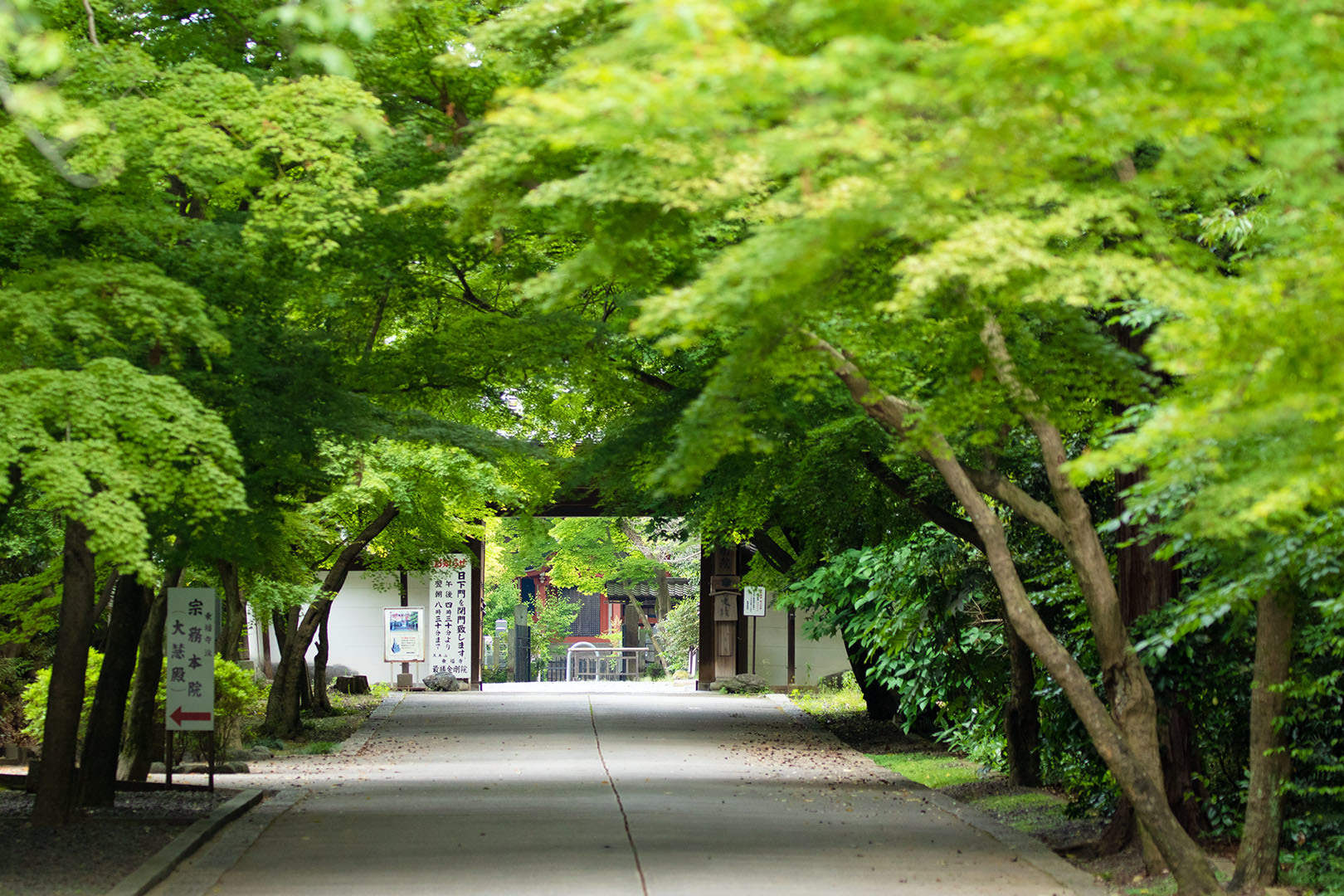 東福寺_a0003166_18254211.jpg