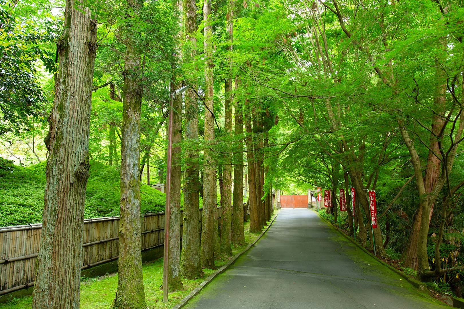 今熊野観音寺_a0003166_18271169.jpg