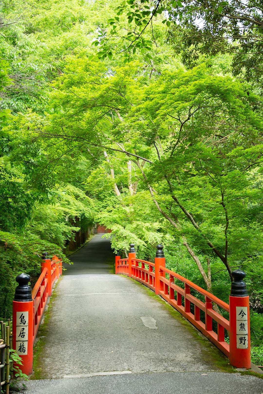 今熊野観音寺_a0003166_18271545.jpg
