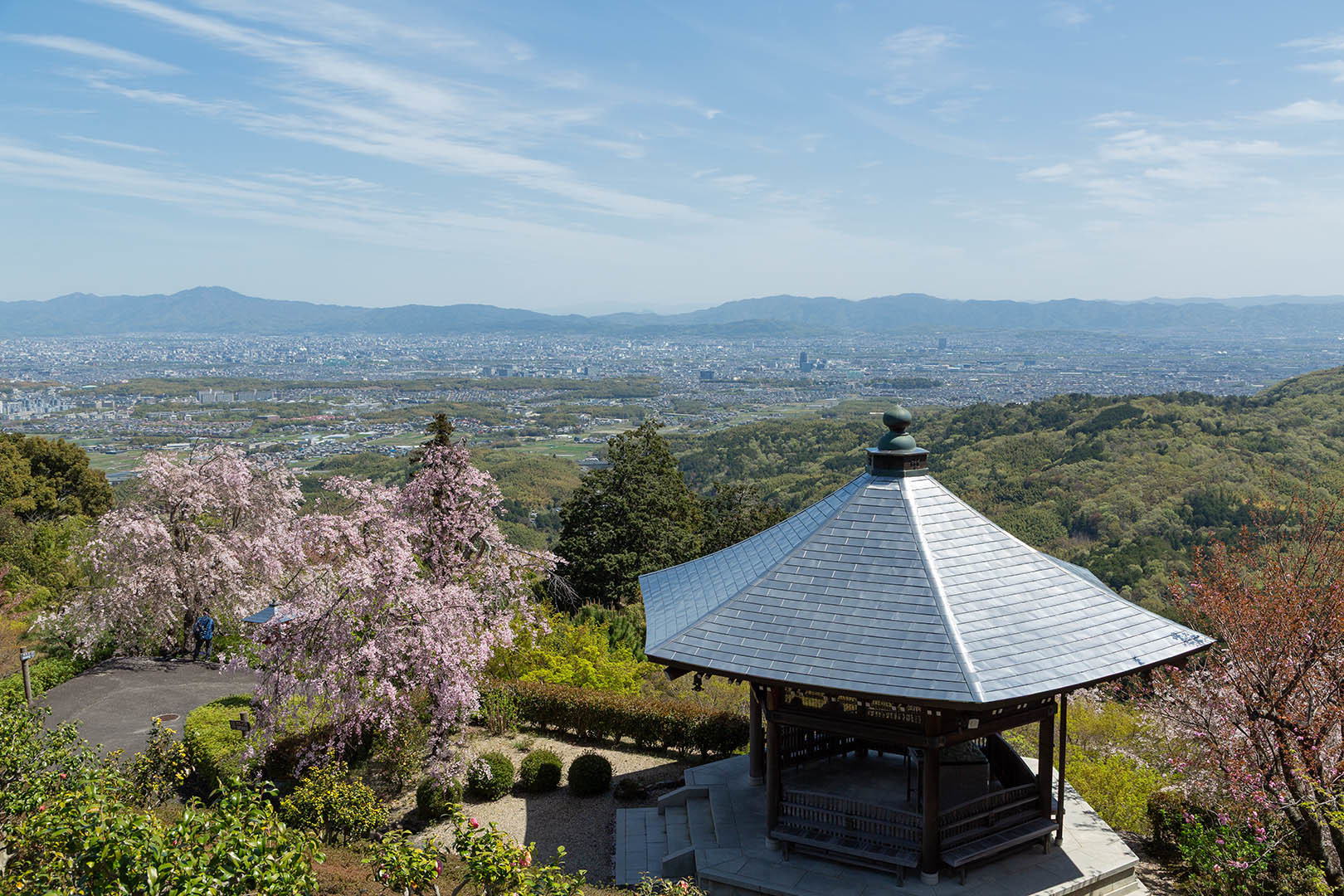 善峯寺の桜_a0003166_18274990.jpg