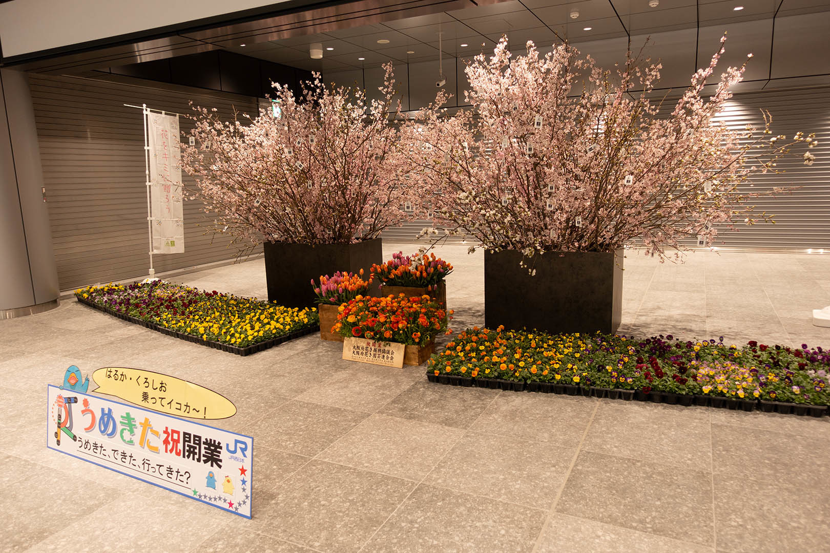 大阪駅　うめきたエリア_a0003166_18280703.jpg