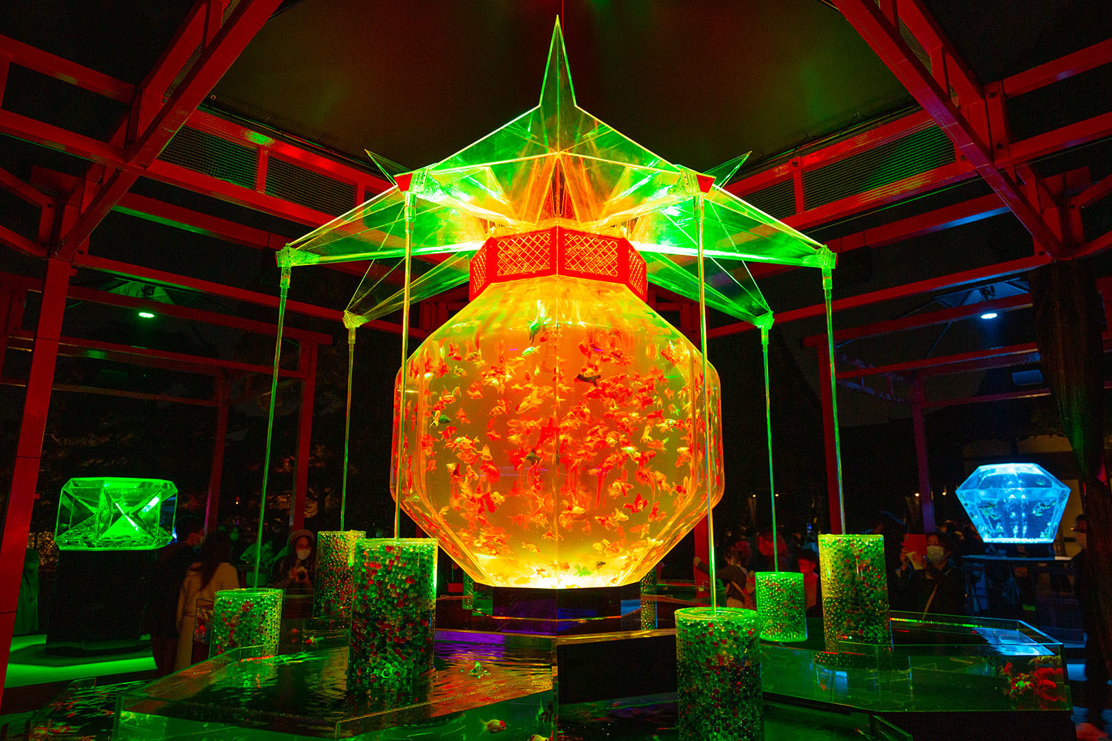アートアクアリウム（二条城）_a0003166_18290308.jpg