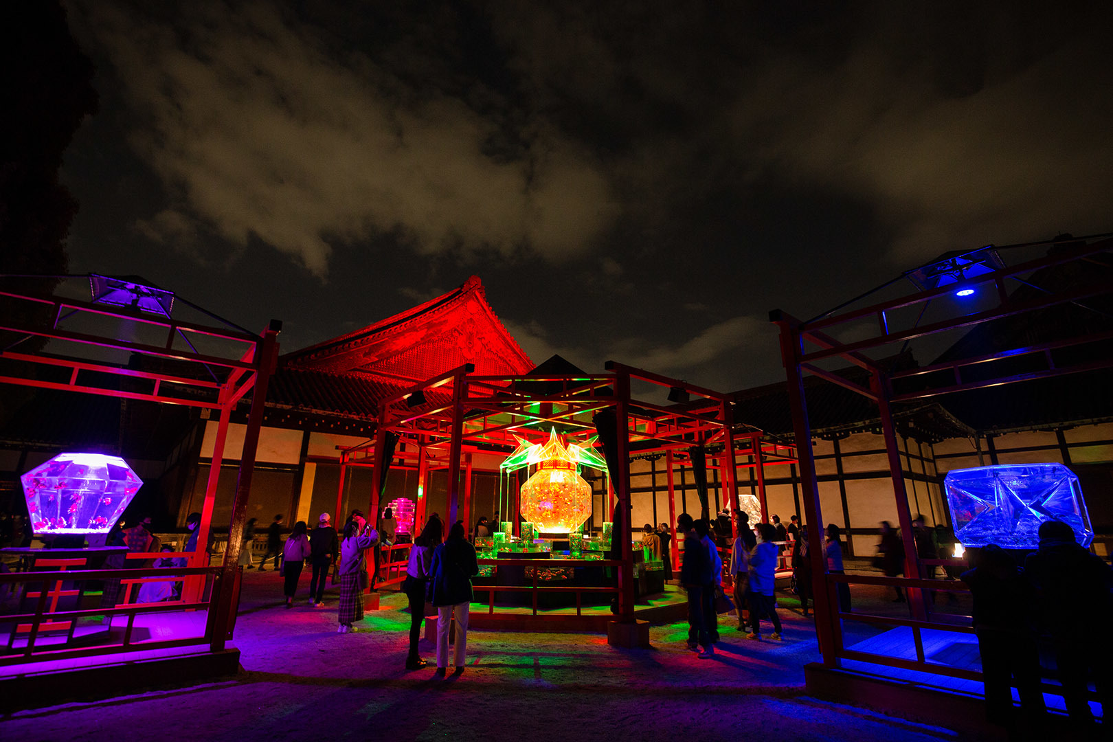 アートアクアリウム（二条城）_a0003166_18290327.jpg