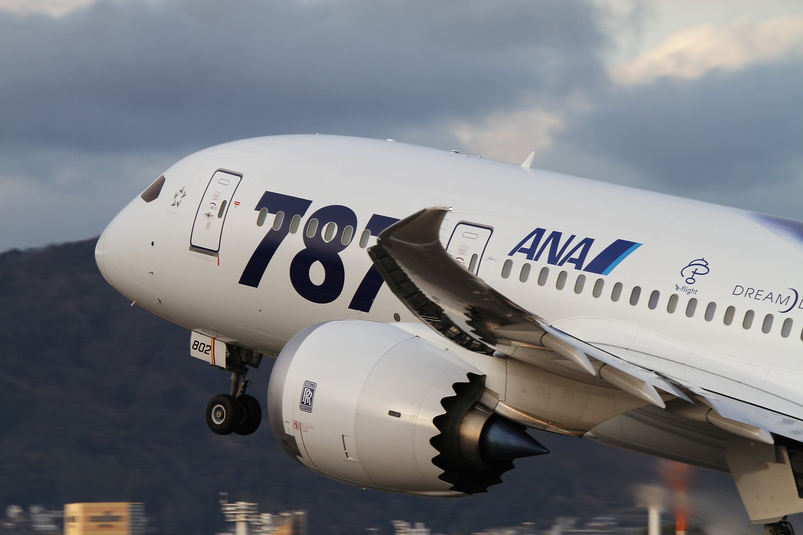 ボーイング７８７　（伊丹スカイパーク）_a0003166_18295546.jpg