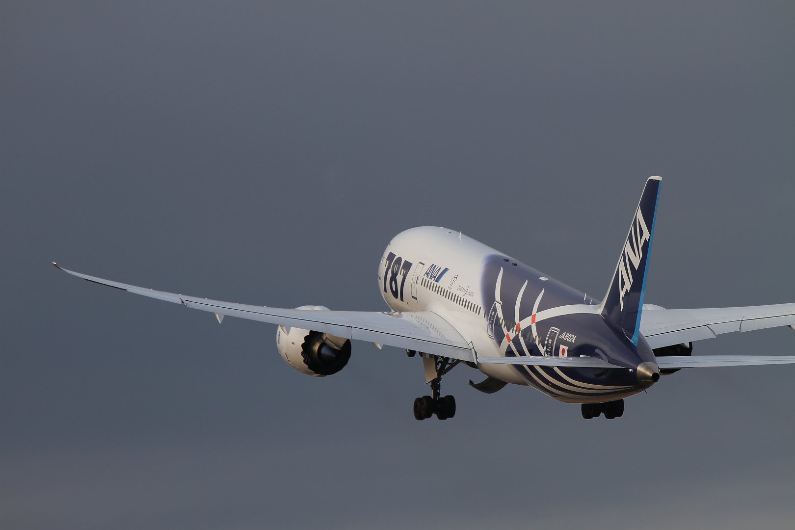 ボーイング７８７　（伊丹スカイパーク）_a0003166_18295616.jpg