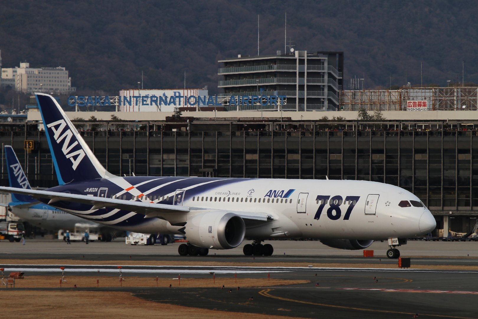 ボーイング７８７　（伊丹スカイパーク）_a0003166_18295681.jpg