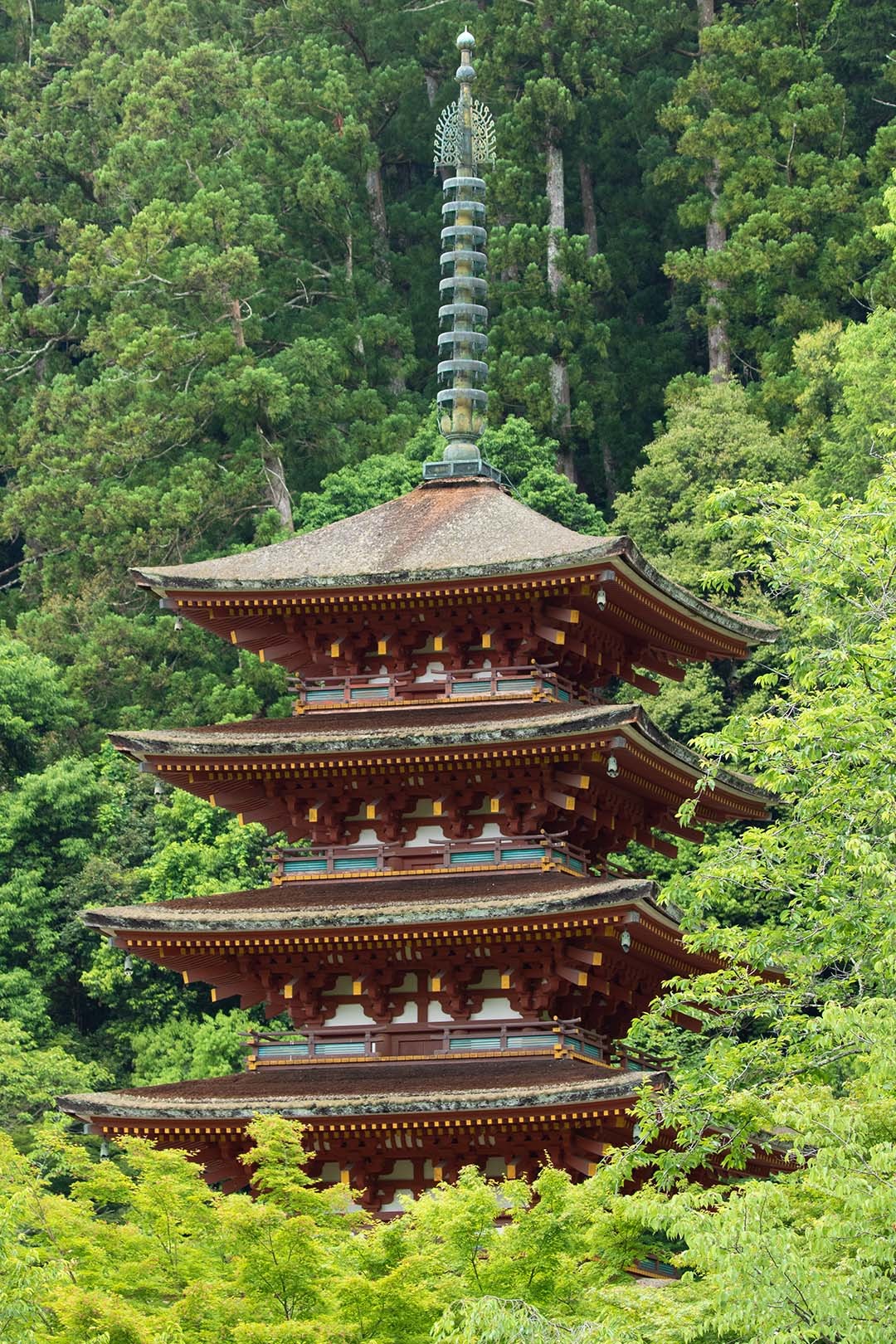 長谷寺 その１_a0003166_18311275.jpg