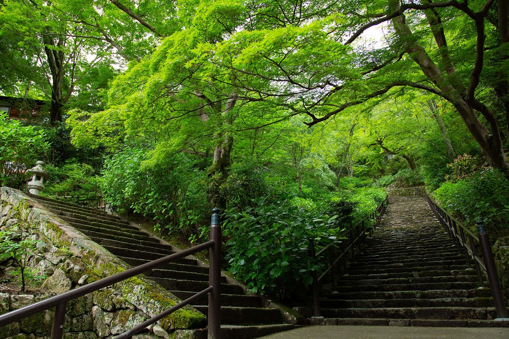 長谷寺 その１_a0003166_18311399.jpg