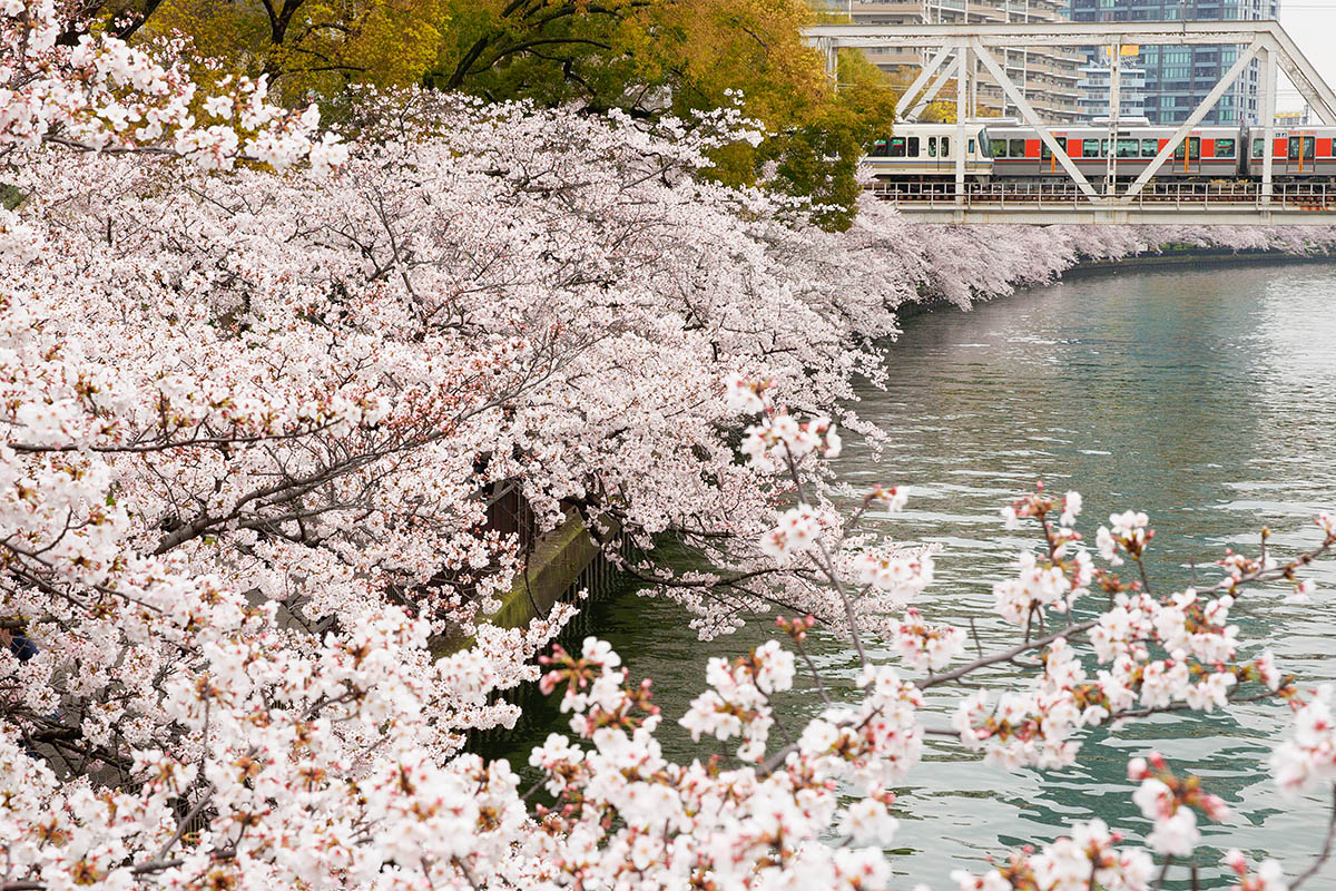 桜ノ宮など_a0003166_18324915.jpg