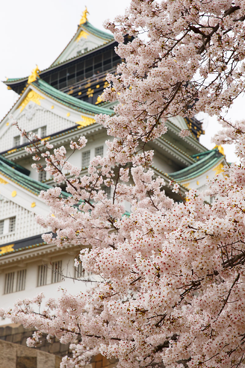 桜ノ宮など_a0003166_18325662.jpg