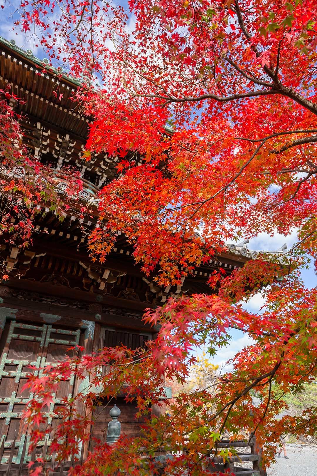 清涼寺_a0003166_18341318.jpg
