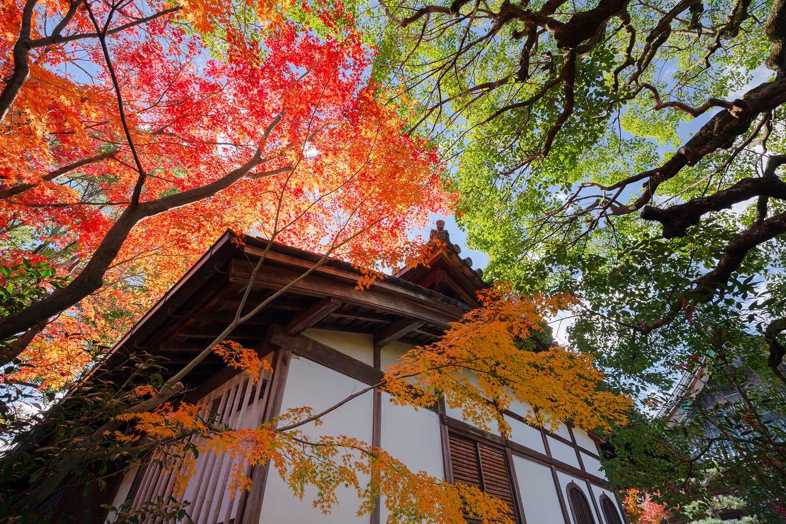 清涼寺_a0003166_18341387.jpg