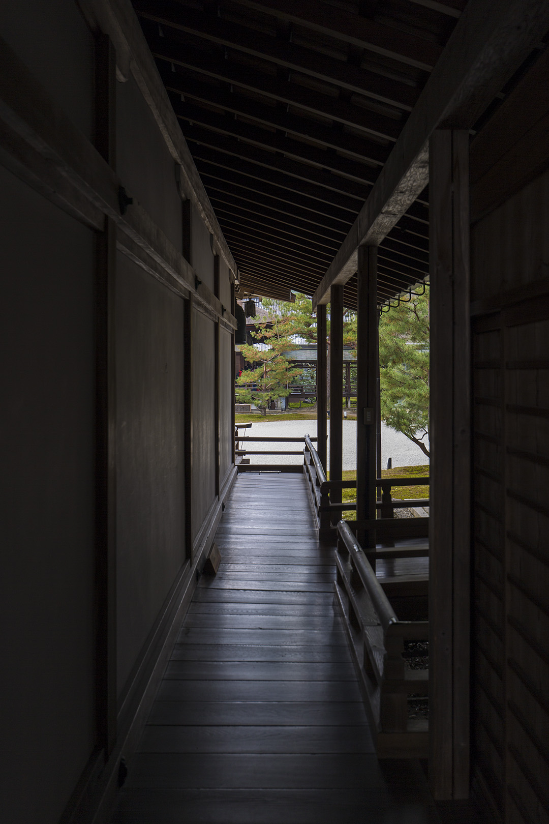紅葉など_a0003166_183925.jpg