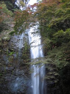 もみじ_a0003166_18393086.jpg
