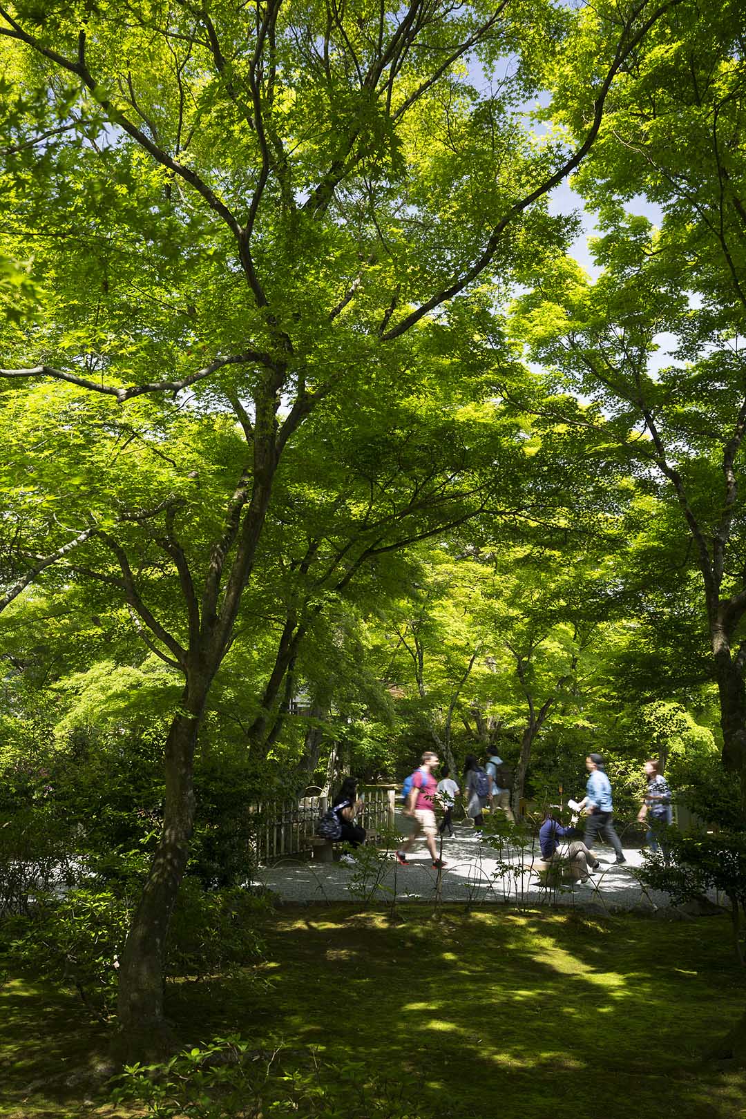 嵐山 （天龍寺など）_a0003166_1842404.jpg