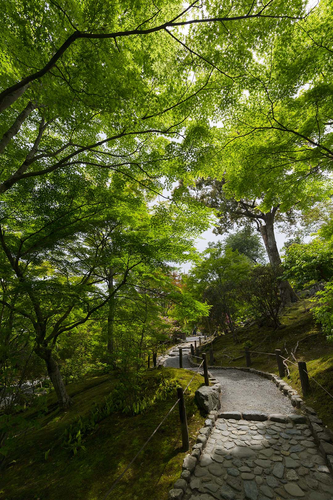 嵐山 （天龍寺など）_a0003166_18424057.jpg