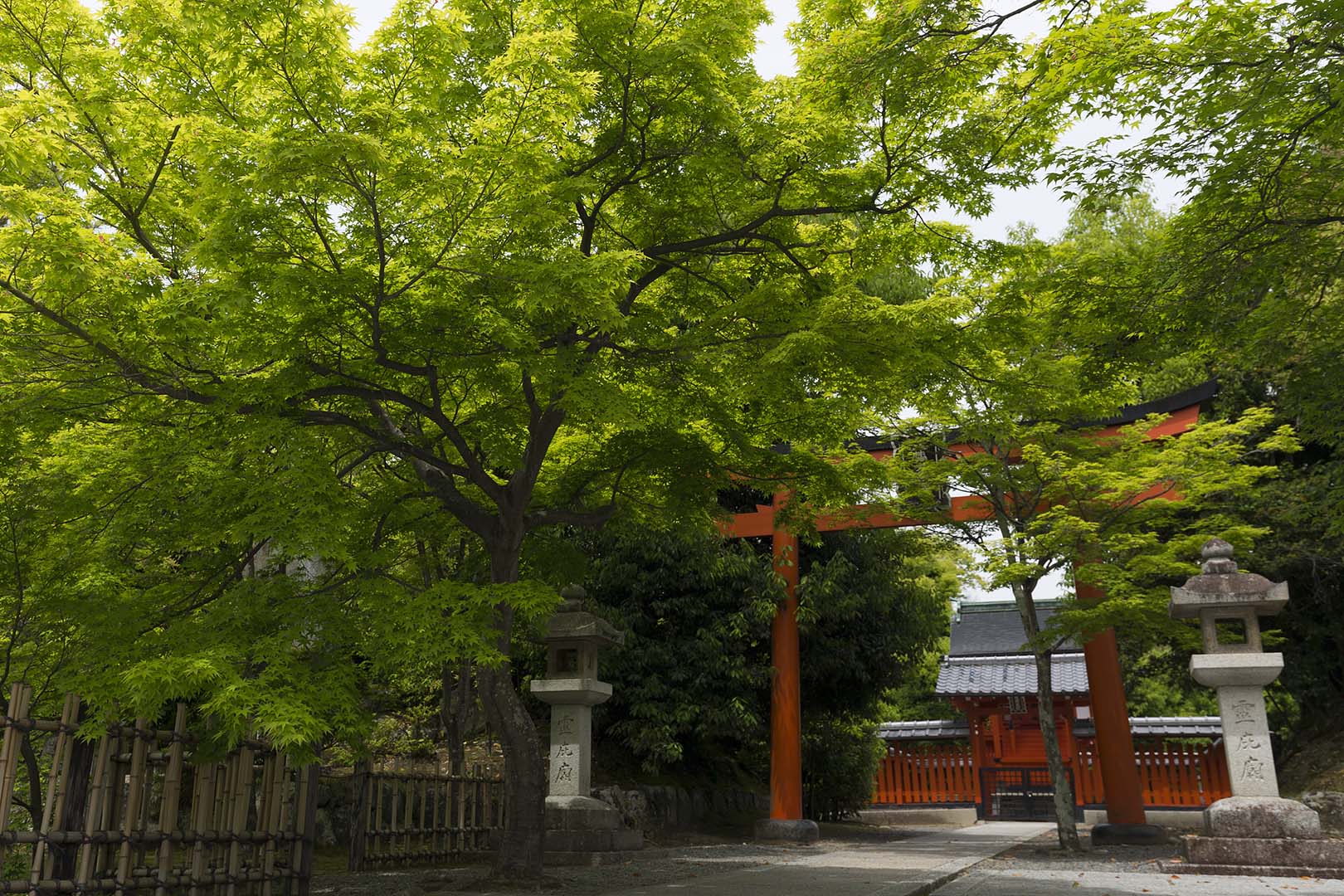 嵐山 （天龍寺など）_a0003166_18424085.jpg