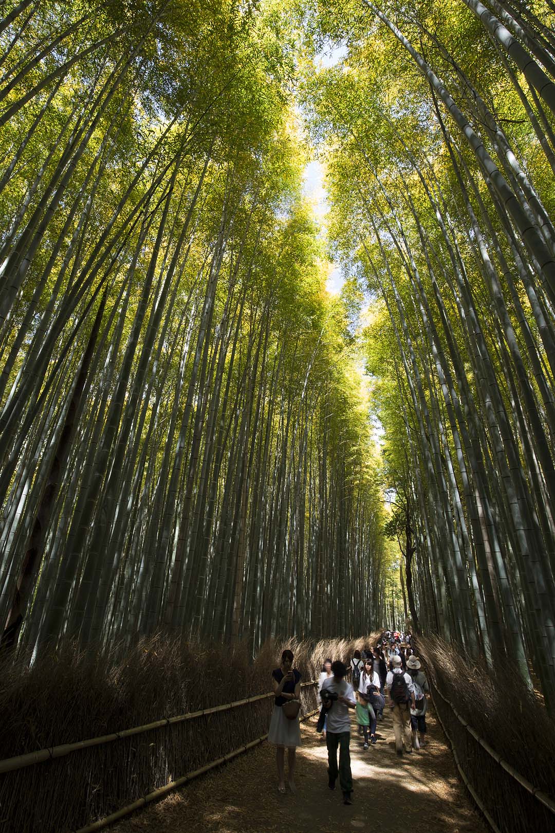 嵐山 （天龍寺など）_a0003166_18424219.jpg