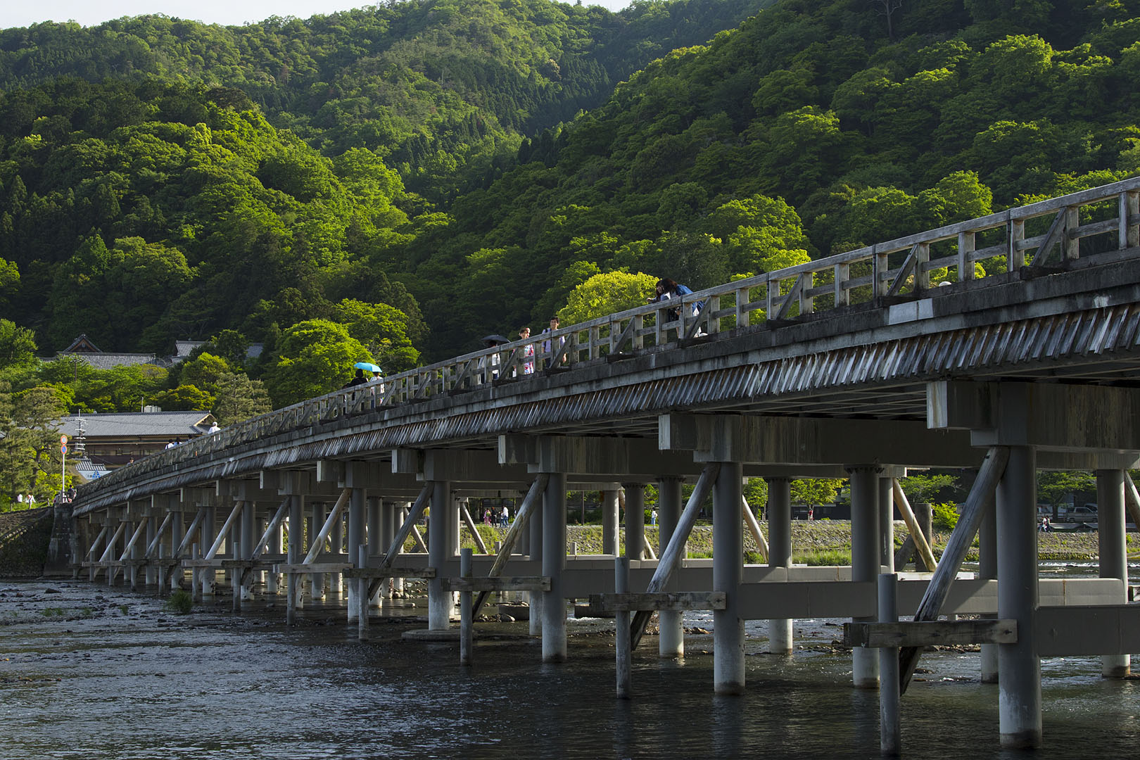 嵐山 （天龍寺など）_a0003166_18424238.jpg