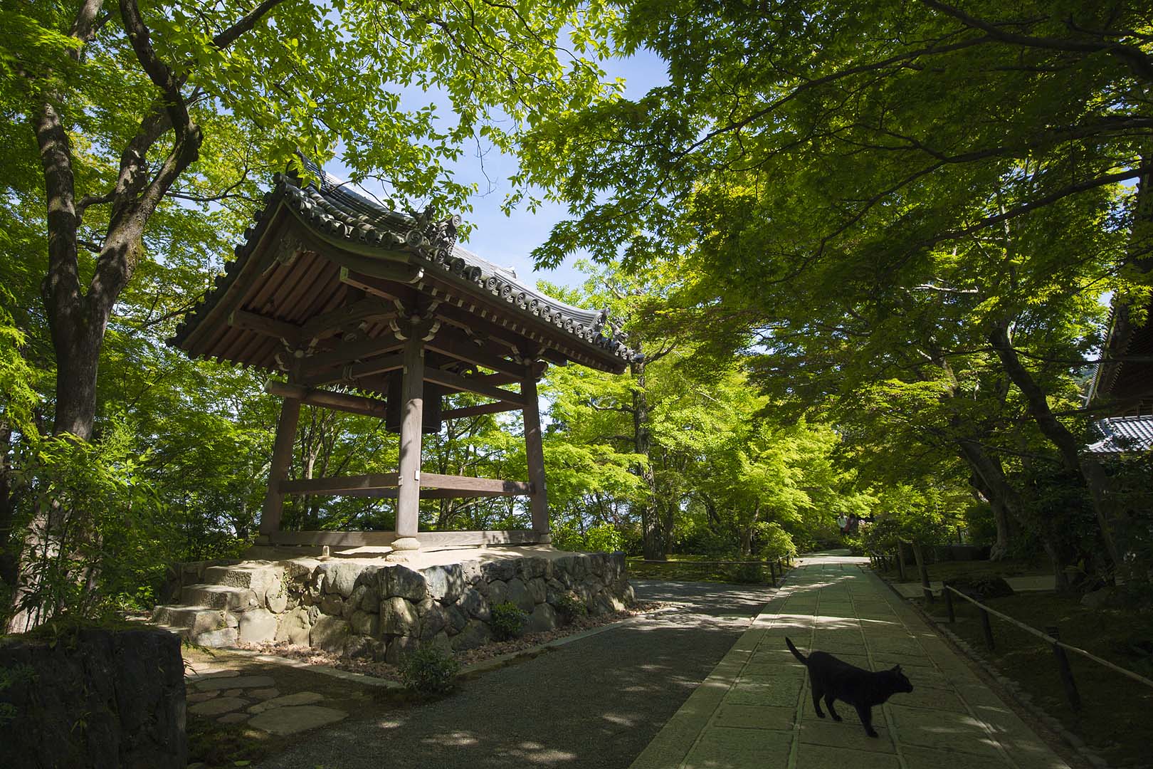 嵐山 （常寂光寺）_a0003166_18451967.jpg