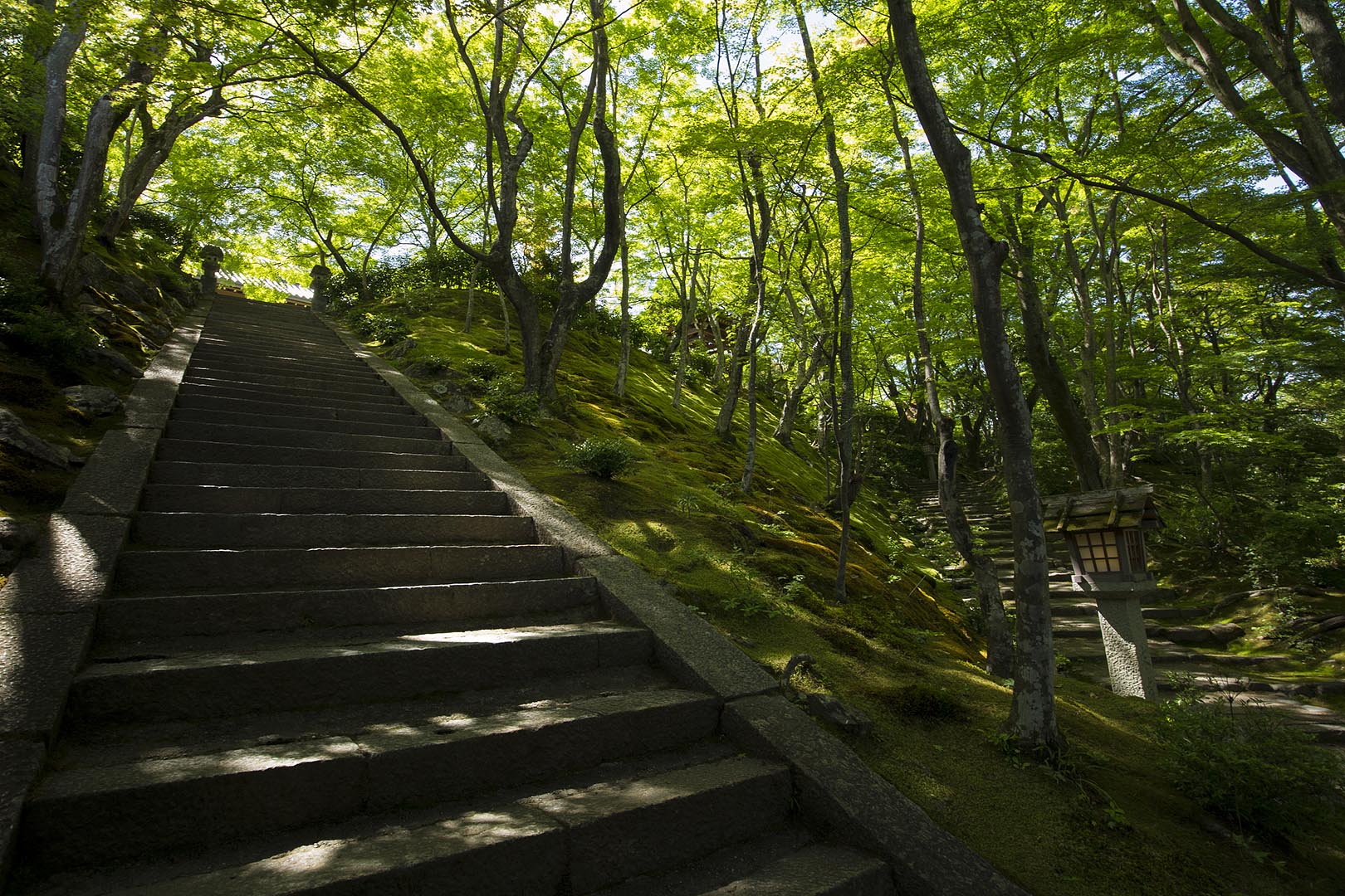 嵐山 （常寂光寺）_a0003166_18452091.jpg