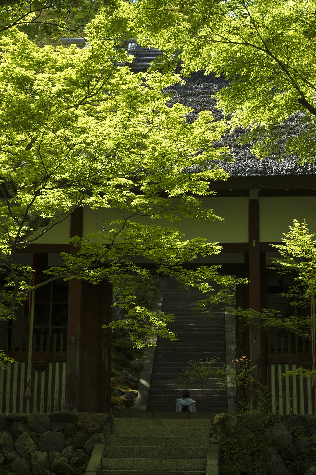 嵐山 （常寂光寺）_a0003166_1845219.jpg