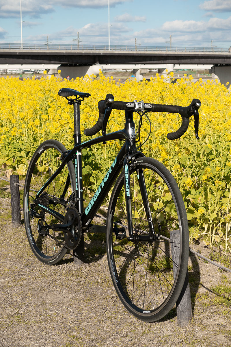 自転車　あいあいパーク（宝塚）、武庫川の菜の花など_a0003166_18482444.jpg