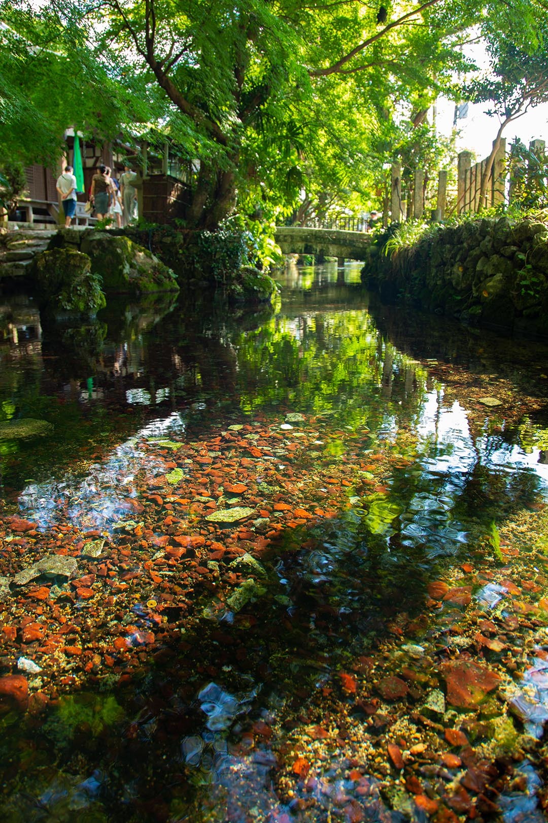 滋賀 醒井_a0003166_18580443.jpg