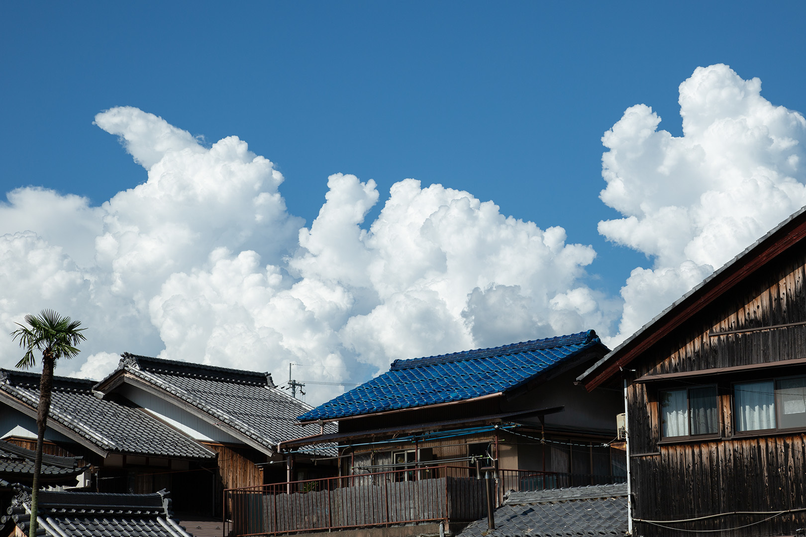 滋賀 醒井_a0003166_18580531.jpg