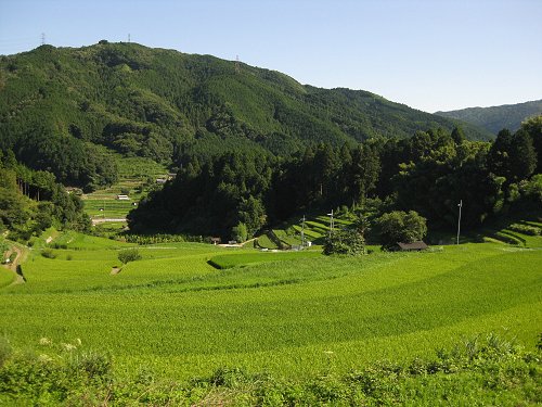 山_a0003166_1872244.jpg