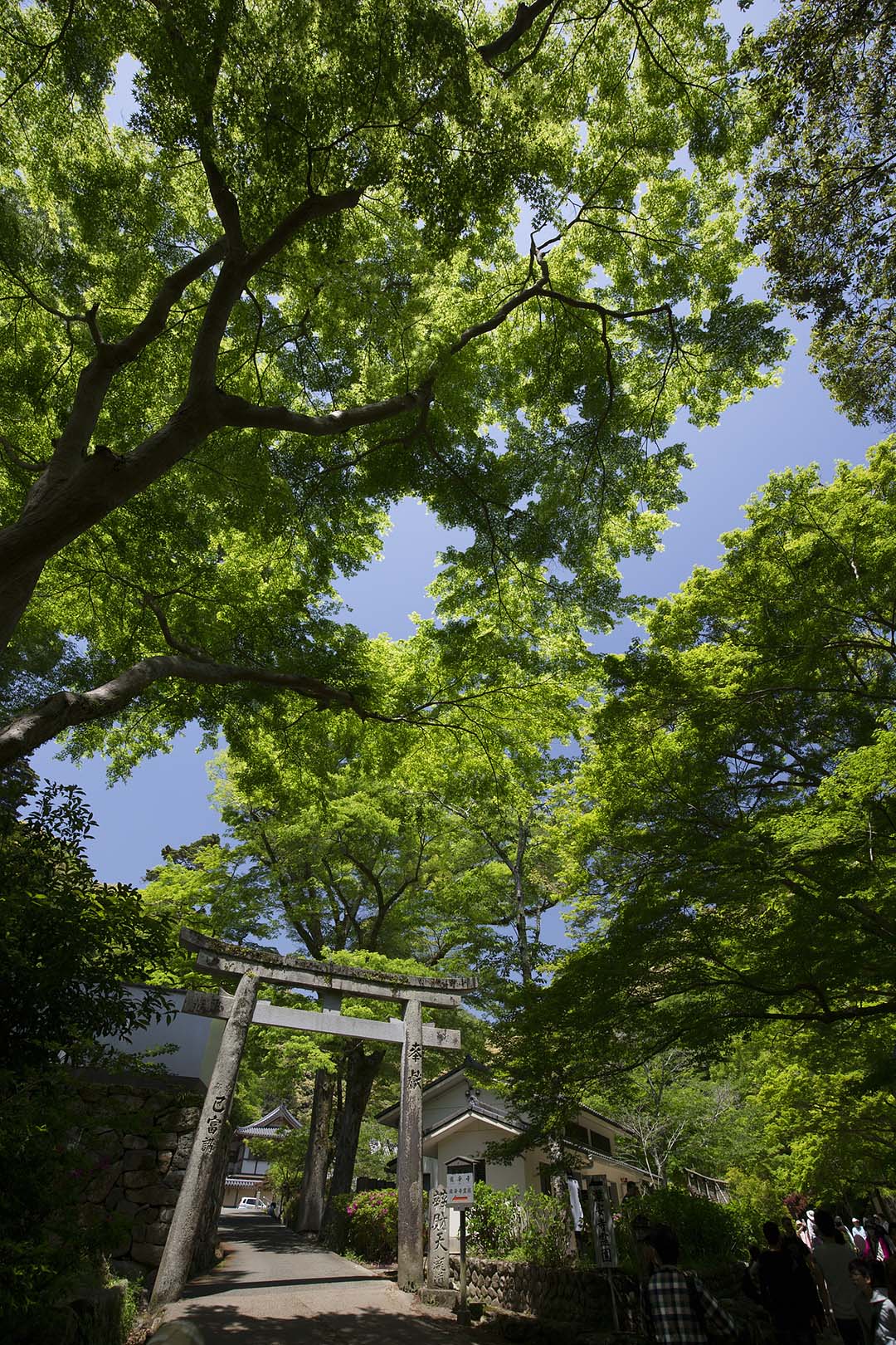 箕面_a0003166_1894446.jpg
