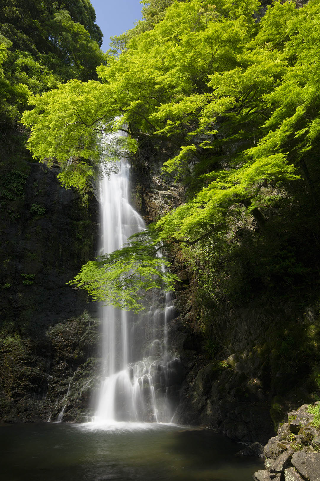 箕面_a0003166_1894541.jpg