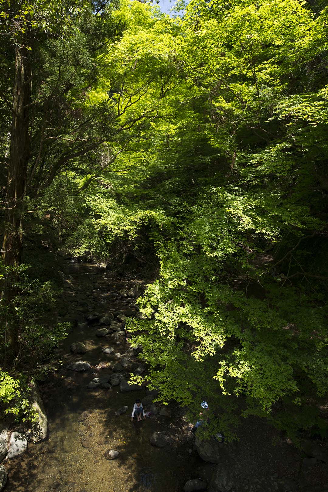 箕面_a0003166_189468.jpg