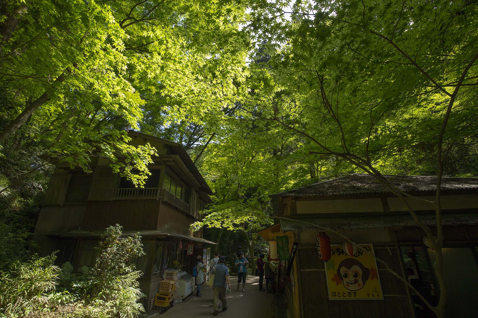 箕面_a0003166_1894719.jpg