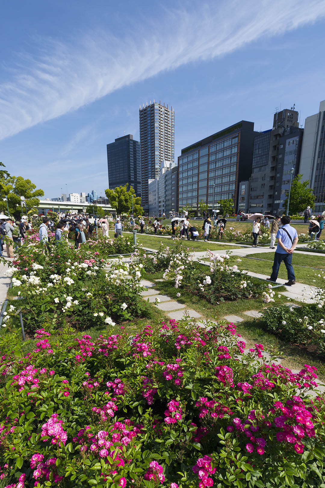 中之島公園_a0003166_1914463.jpg