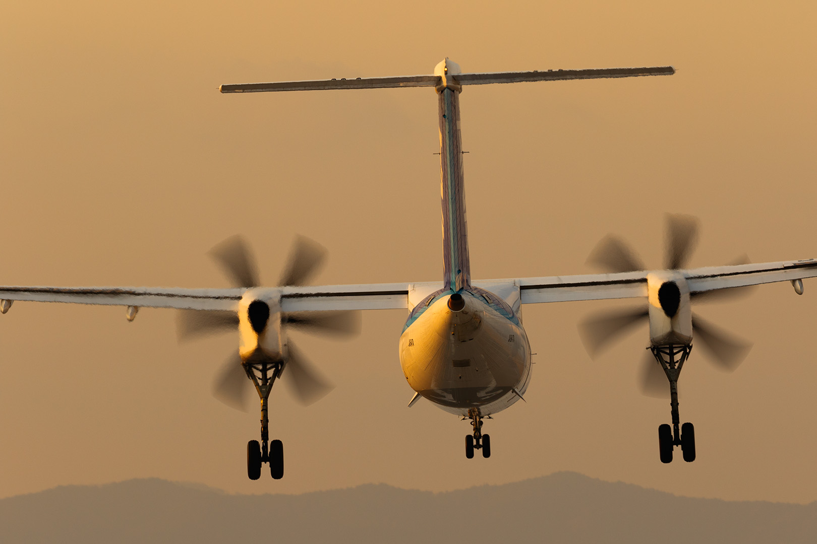 飛行機　（伊丹空港 千里川）_a0003166_19155298.jpg