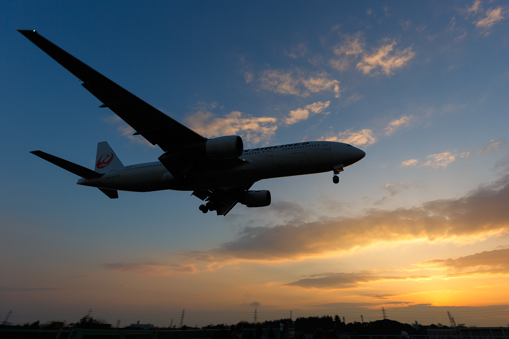 飛行機　（伊丹空港 千里川）_a0003166_19155841.jpg
