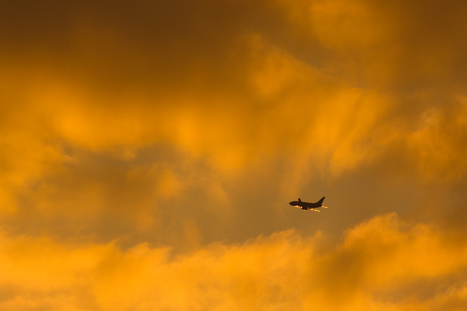 飛行機　（伊丹空港 千里川）_a0003166_1916159.jpg