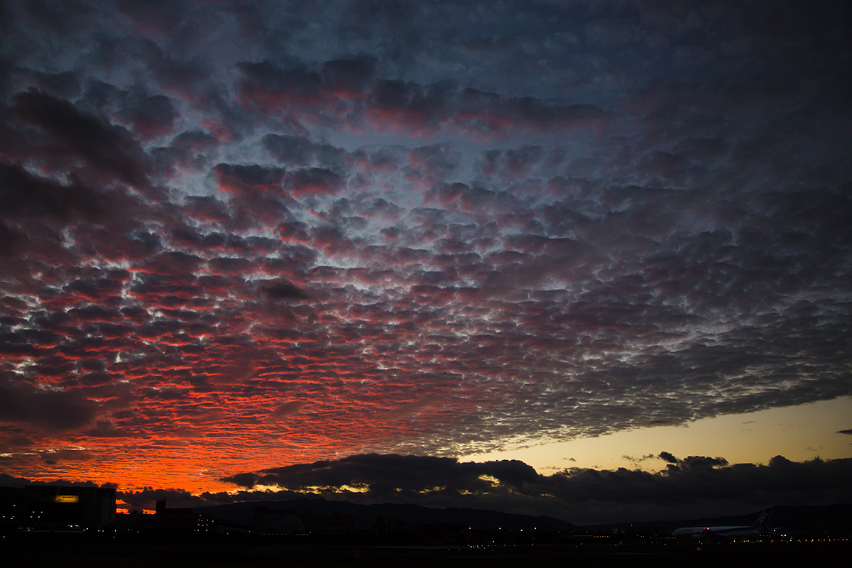 夕焼け_a0003166_1922160.jpg