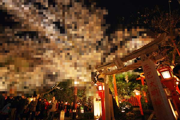 新・新基準モザイク → 花は生殖器なのでモザイクがかかる_a0003166_194882.jpg