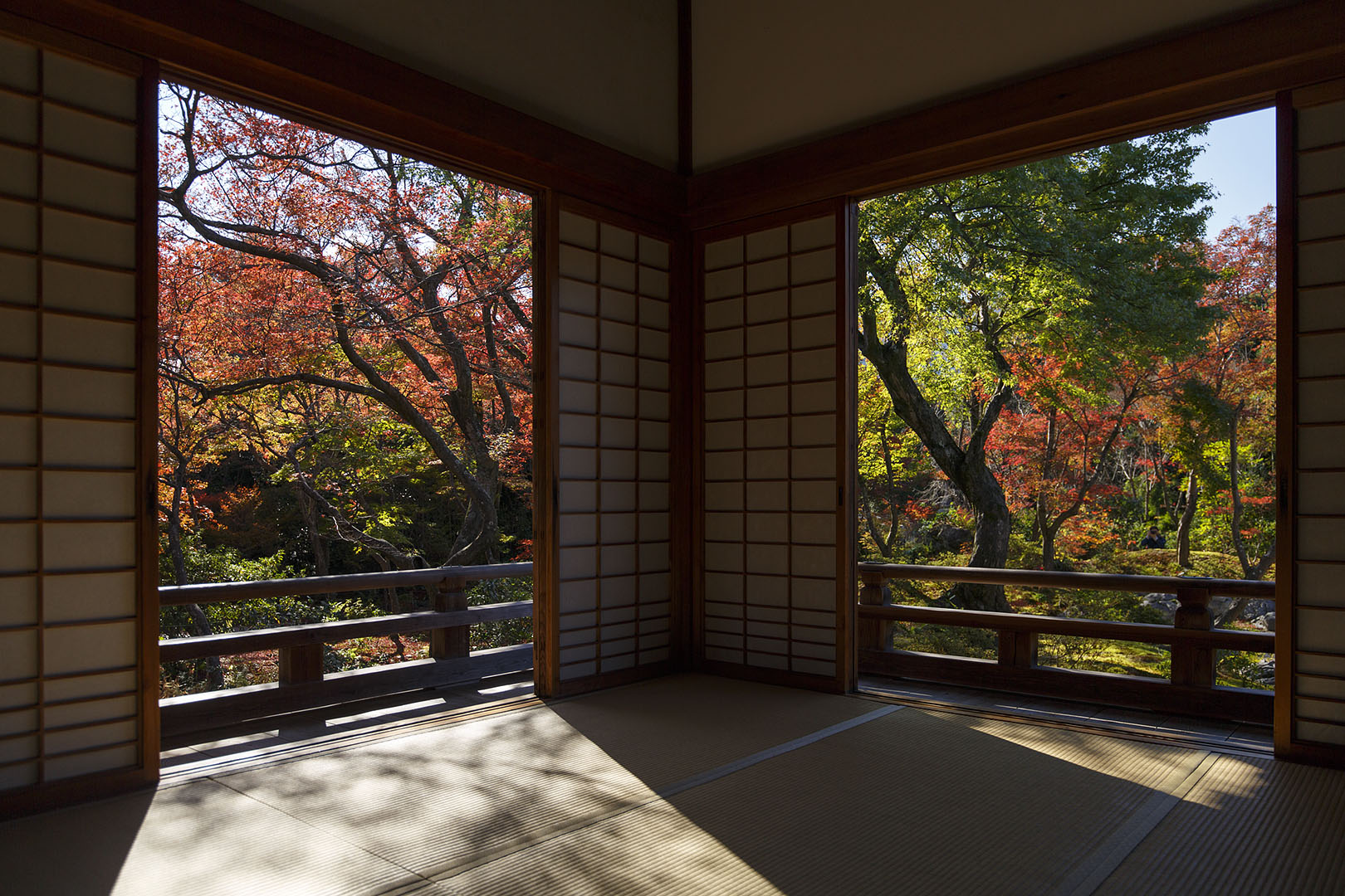 紅葉 （宝筐院）_a0003166_194958.jpg