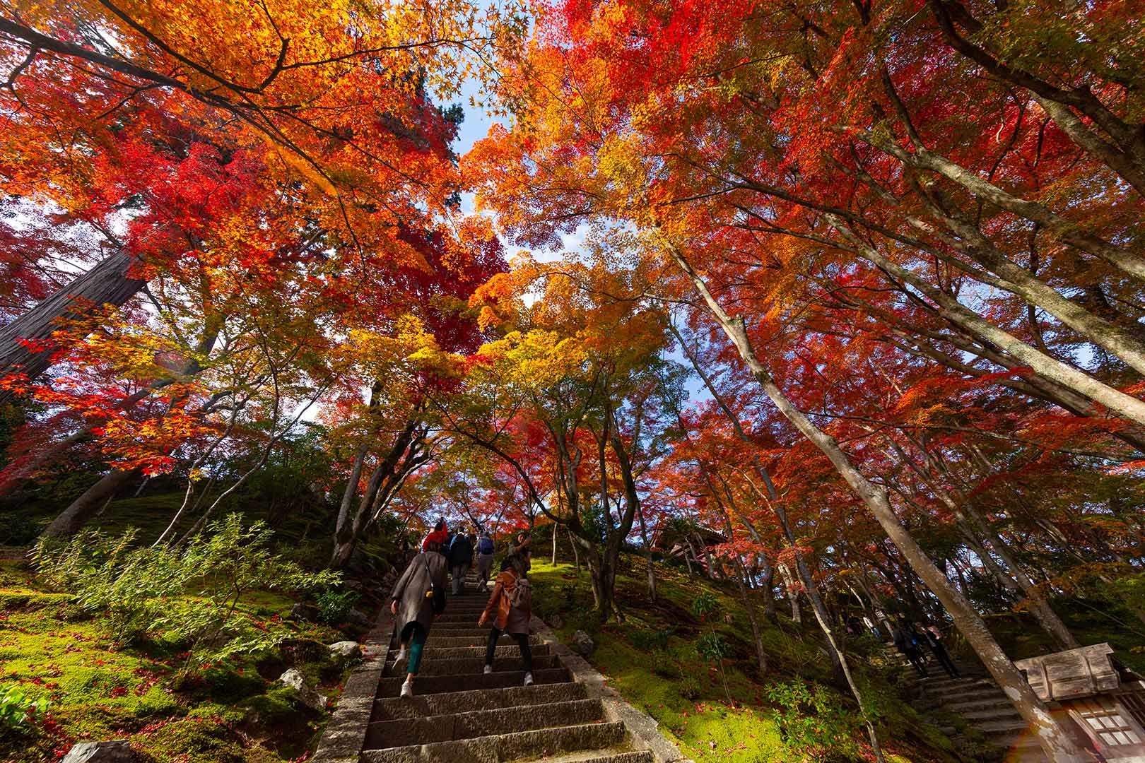 常寂光寺の紅葉 その２_a0003166_19505579.jpg