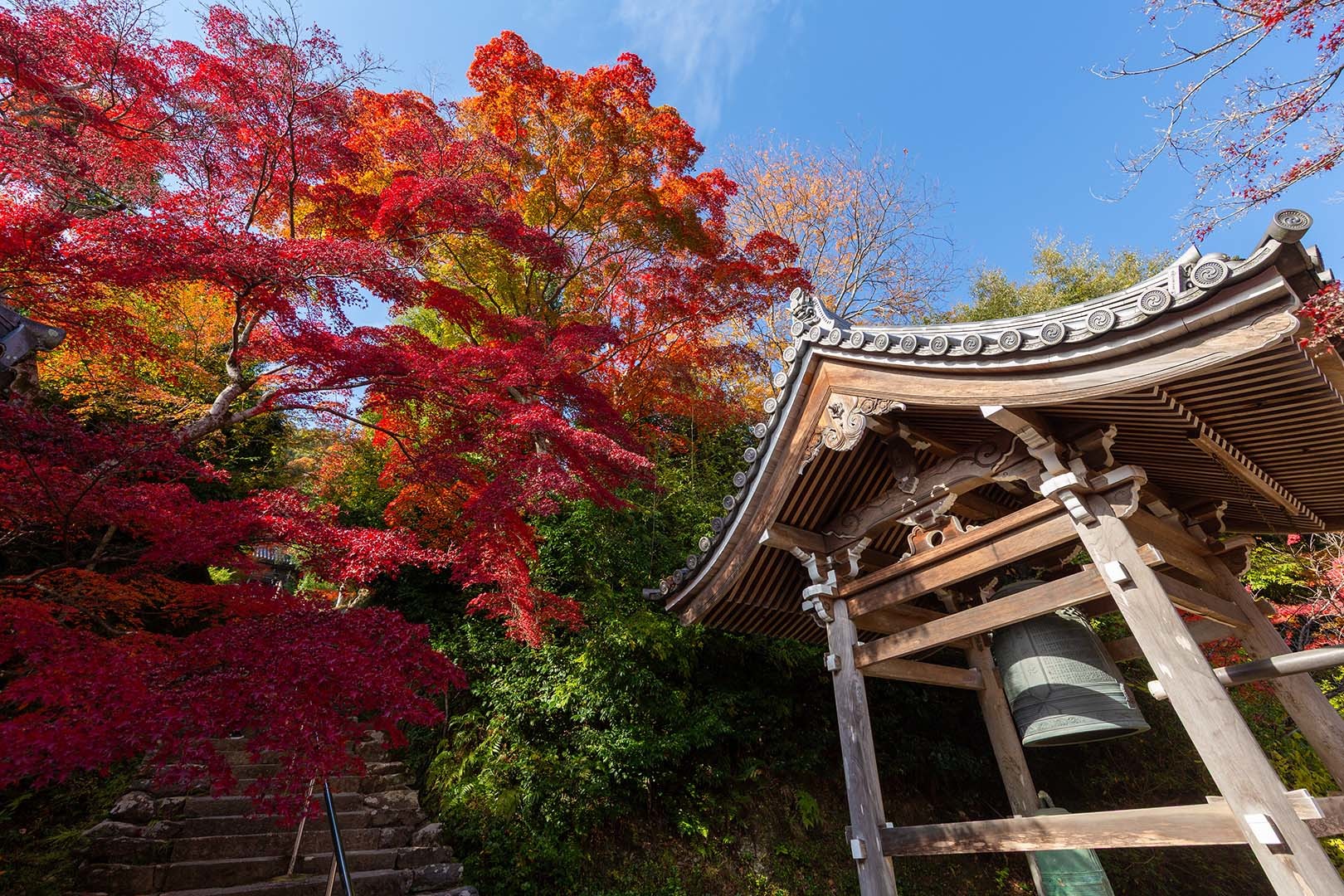 二尊院の紅葉_a0003166_19525987.jpg